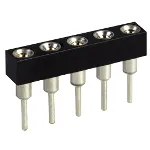 FNB032-299MG
